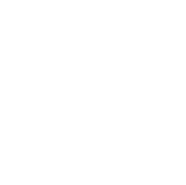 SAIs Energía